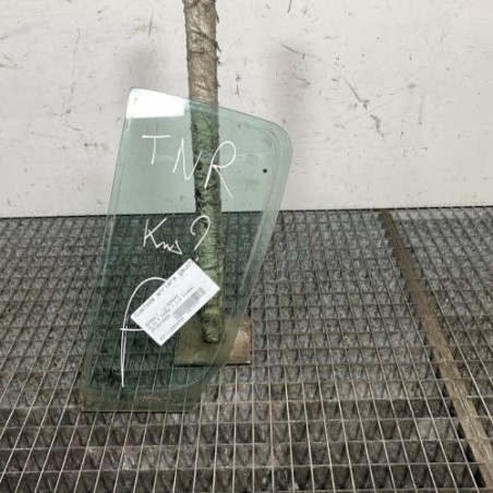 Custode arriere gauche (porte) RENAULT CLIO 3 Photo n°1