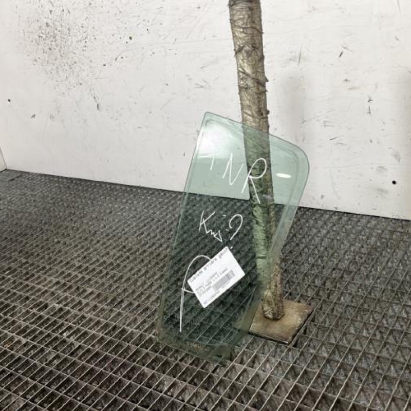 Custode arriere gauche (porte) RENAULT CLIO 3 Photo n°2