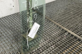 Custode arriere gauche (porte) RENAULT CLIO 3