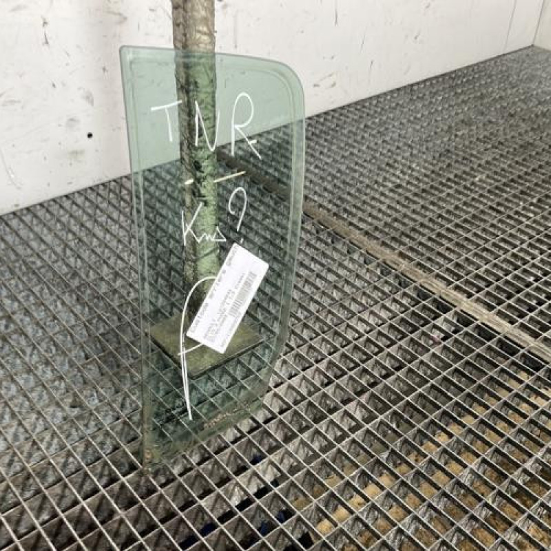 Custode arriere gauche (porte) RENAULT CLIO 3 Photo n°3