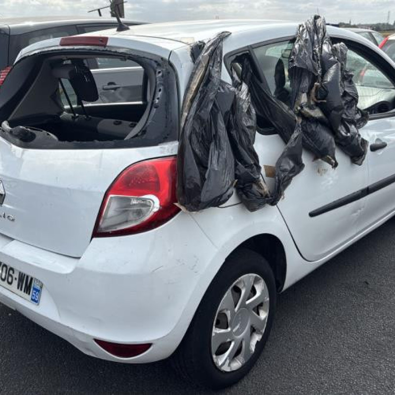 Custode arriere gauche (porte) RENAULT CLIO 3 Photo n°7