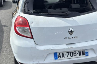 Custode arriere gauche (porte) RENAULT CLIO 3