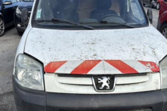 Vitre porte coffre droit PEUGEOT PARTNER 1