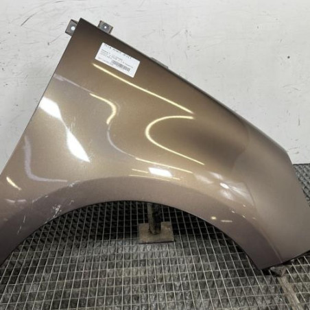 Aile avant droit RENAULT SCENIC 3 Photo n°1