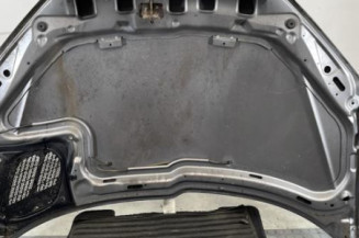 Capot PEUGEOT 206