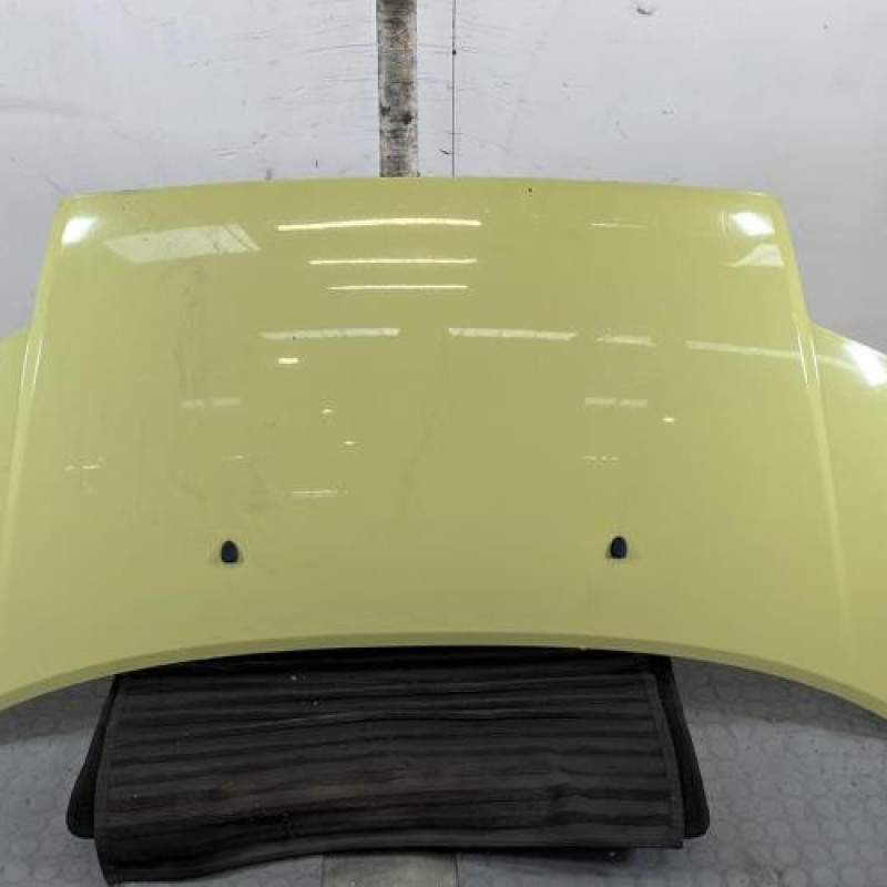 Capot CITROEN C2 Photo n°1