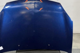 Capot RENAULT CLIO 2 Photo n°1