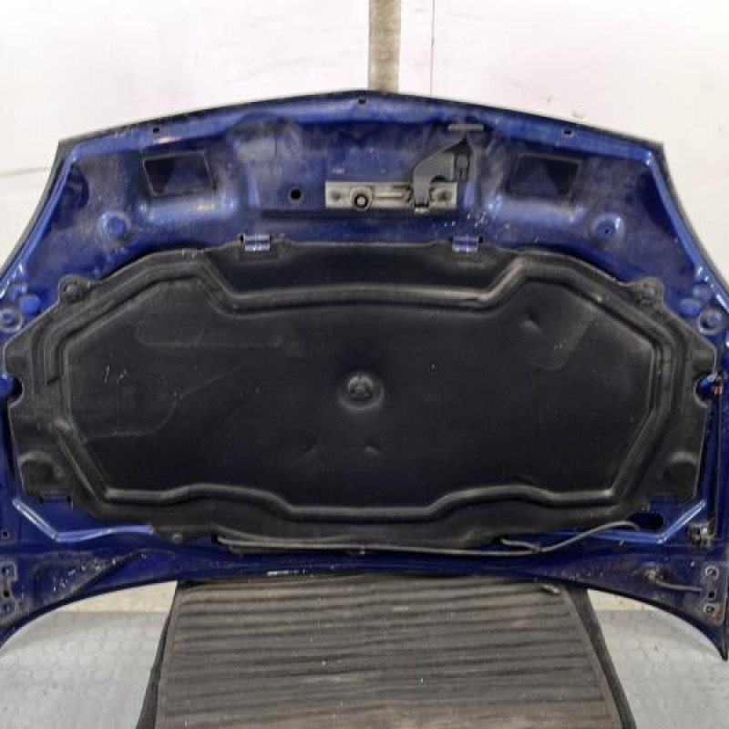 Capot RENAULT CLIO 2 Photo n°10