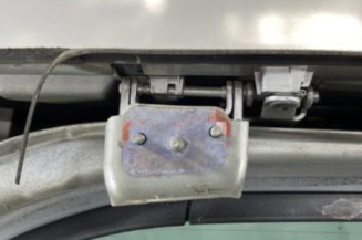 Malle/Hayon arriere CITROEN C4 PICASSO 1