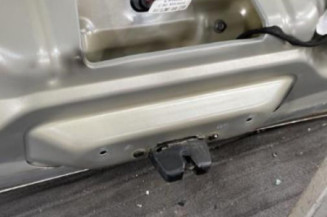 Malle/Hayon arriere CITROEN C4 PICASSO 1