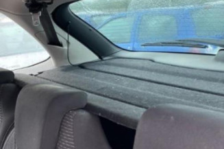 Malle/Hayon arriere CITROEN C4 PICASSO 1