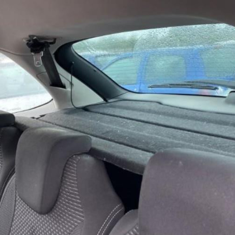 Malle/Hayon arriere CITROEN C4 PICASSO 1 Photo n°13
