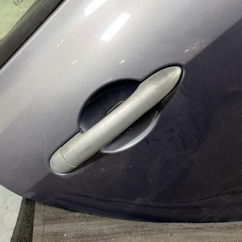 Porte arriere droit RENAULT CLIO 3 Photo n°2