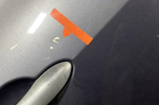 Porte arriere droit RENAULT CLIO 3