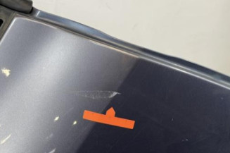 Porte arriere droit RENAULT CLIO 3