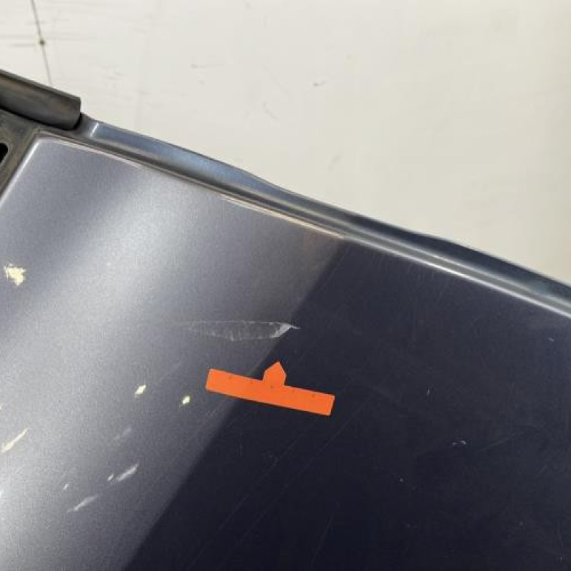 Porte arriere droit RENAULT CLIO 3 Photo n°4