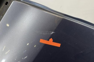 Porte arriere droit RENAULT CLIO 3