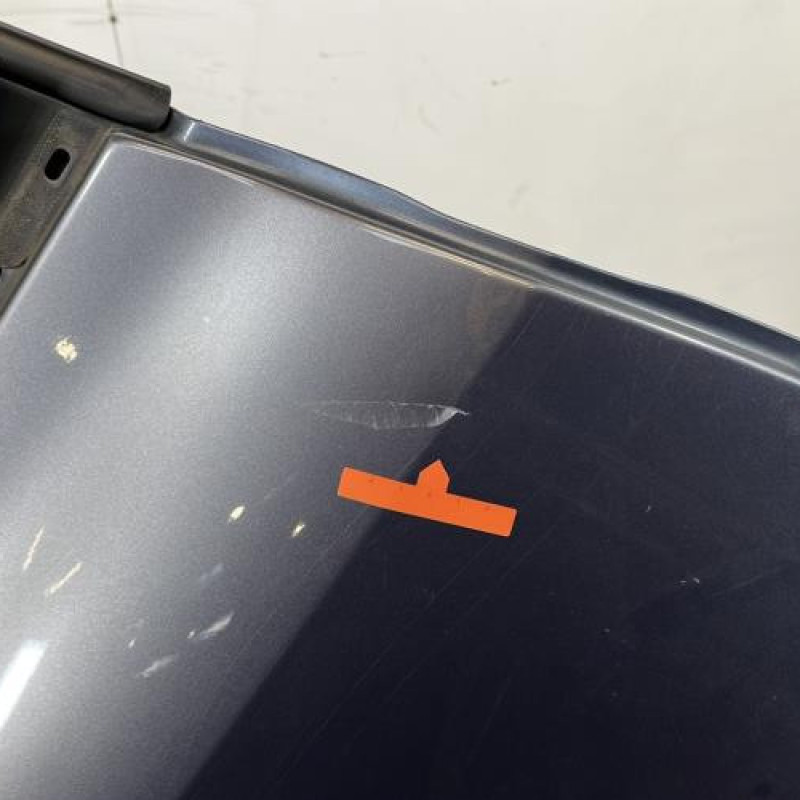 Porte arriere droit RENAULT CLIO 3 Photo n°5