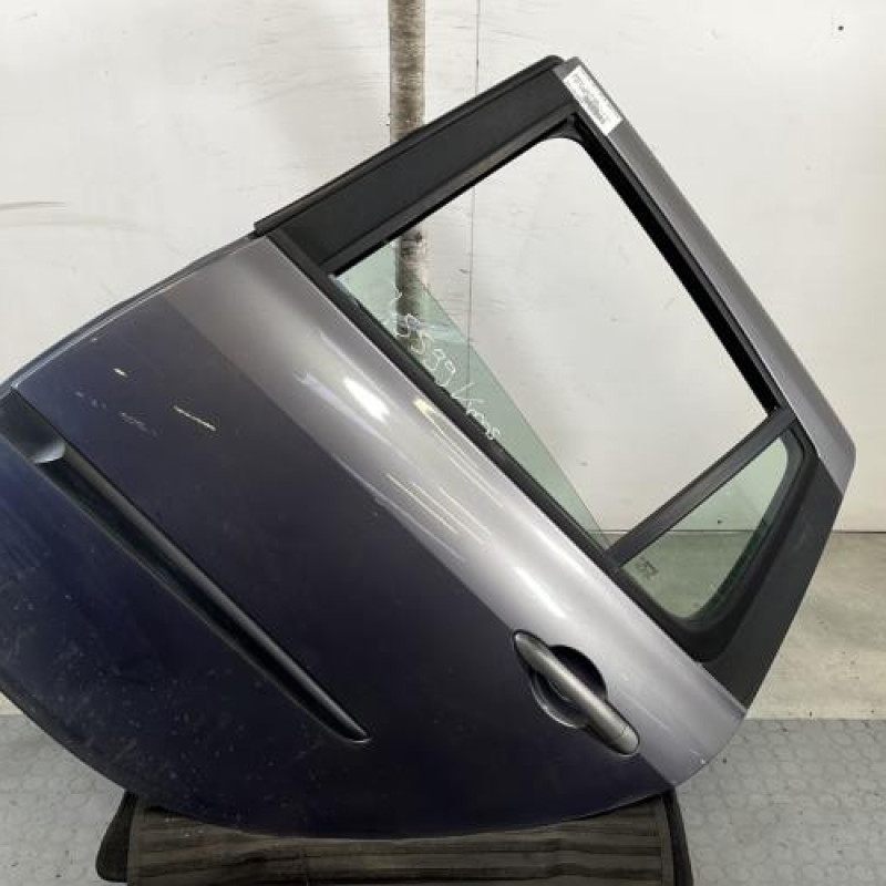 Porte arriere gauche RENAULT CLIO 3 Photo n°1