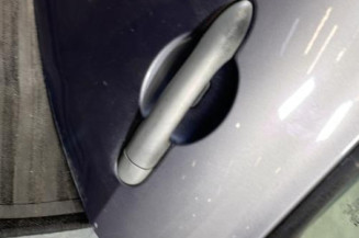 Porte arriere gauche RENAULT CLIO 3