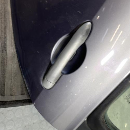 Porte arriere gauche RENAULT CLIO 3