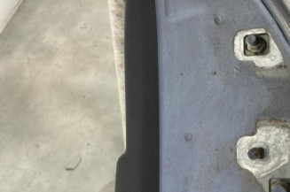 Porte arriere gauche RENAULT CLIO 3