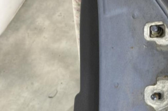 Porte arriere gauche RENAULT CLIO 3