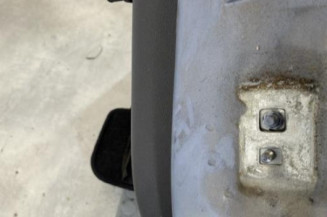 Porte arriere gauche RENAULT CLIO 3