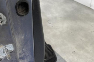 Porte avant droit RENAULT CLIO 3