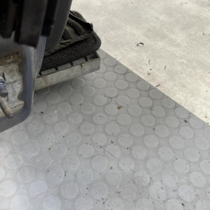 Porte avant droit RENAULT CLIO 3 Photo n°5