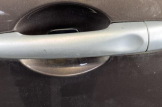 Porte arriere gauche RENAULT SCENIC 3