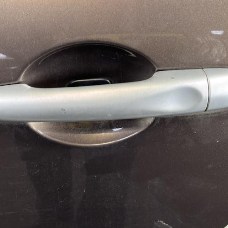 Porte arriere gauche RENAULT SCENIC 3 Photo n°2