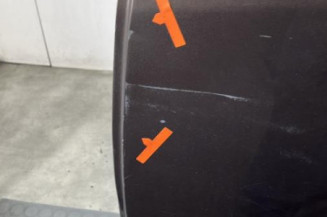 Porte arriere gauche RENAULT SCENIC 3