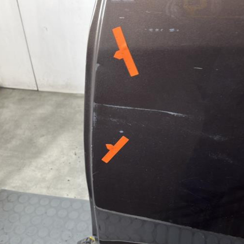 Porte arriere gauche RENAULT SCENIC 3 Photo n°3