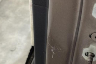 Porte arriere gauche RENAULT SCENIC 3