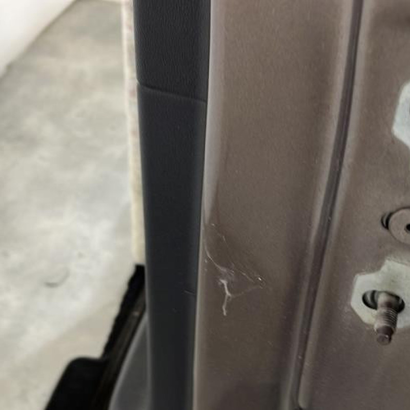 Porte arriere gauche RENAULT SCENIC 3 Photo n°4