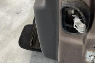 Porte arriere gauche RENAULT SCENIC 3