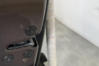 Porte arriere gauche RENAULT SCENIC 3