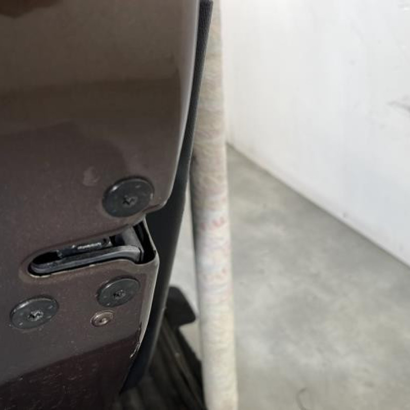 Porte arriere gauche RENAULT SCENIC 3 Photo n°6