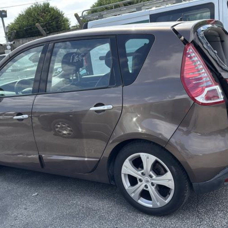 Porte arriere gauche RENAULT SCENIC 3 Photo n°15