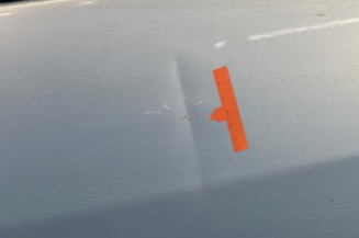 Porte arriere droit RENAULT MODUS