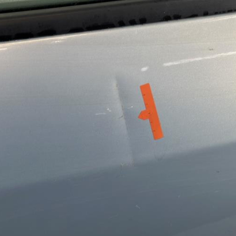 Porte arriere droit RENAULT MODUS Photo n°2