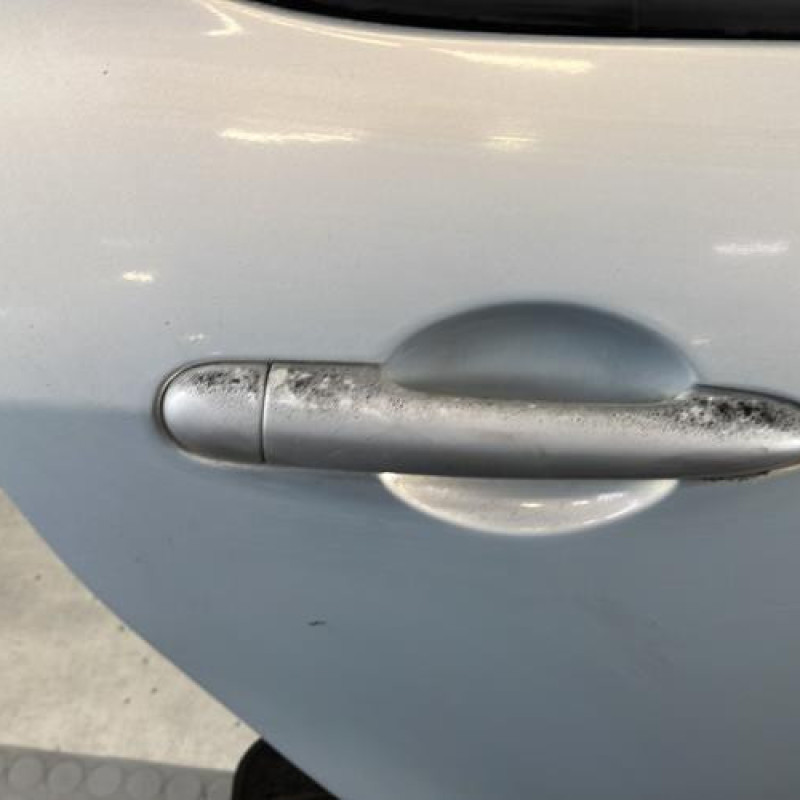Porte arriere droit RENAULT MODUS Photo n°3
