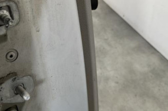 Porte arriere droit RENAULT MODUS