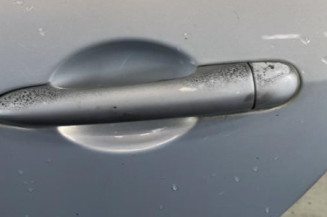 Porte arriere gauche RENAULT MODUS