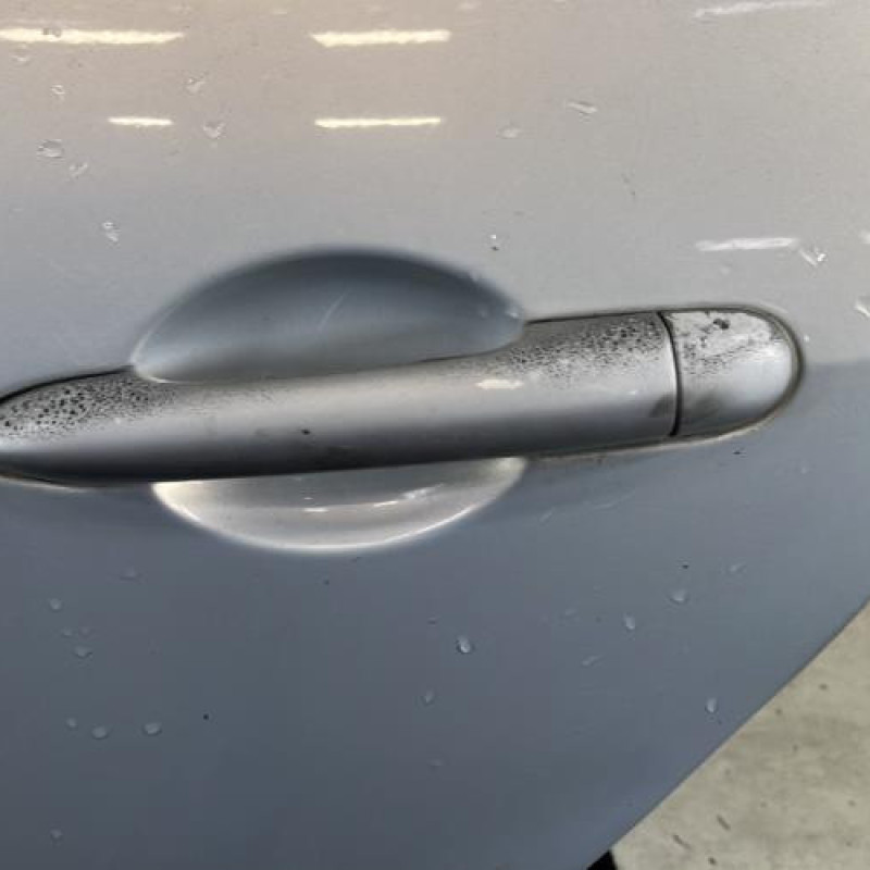 Porte arriere gauche RENAULT MODUS Photo n°2