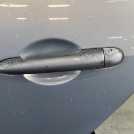 Porte arriere gauche RENAULT MODUS