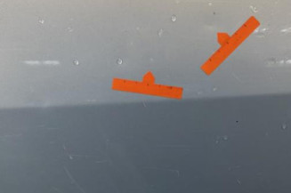 Porte arriere gauche RENAULT MODUS