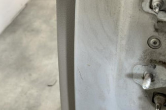 Porte arriere gauche RENAULT MODUS