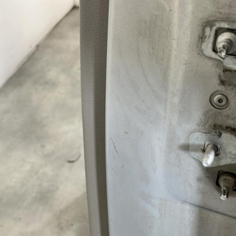 Porte arriere gauche RENAULT MODUS Photo n°4